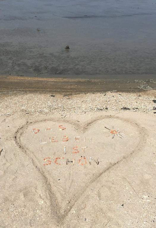 مبيت وإفطار Oude Bildtzijl 'T Laaisterplakky المظهر الخارجي الصورة